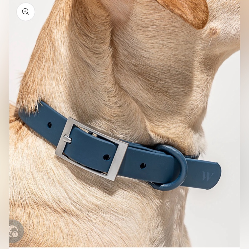 Wild One Navy Blue Dog Collar